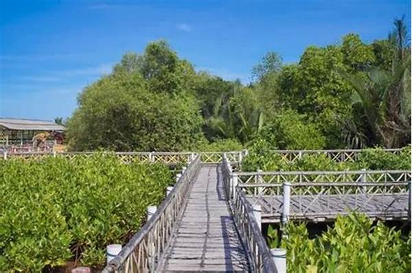 Pemerintah Babel Tawarkan Paket Wisata Mangrove Untuk Turis Asing